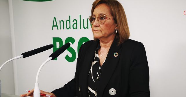 El PSOE critica el abandono de la Junta a los alcaldes en plena pandemia