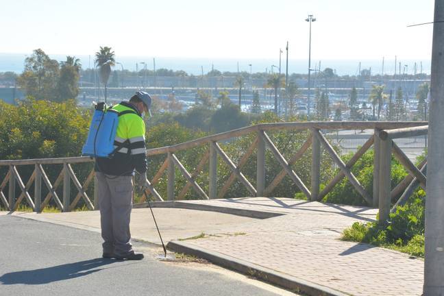 El Ayuntamiento de Palos de la Frontera desinfecta su red de alcantarillado