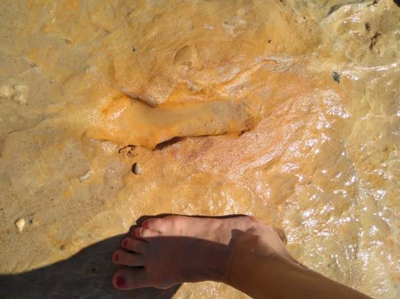 Investigadores de la UHU identifican las pisadas de Neandertales más antiguas del Pleistoceno