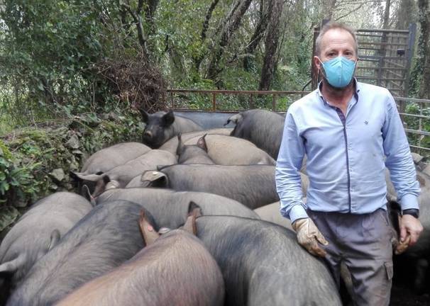 Las matanzas caseras resisten en la Sierra y se adaptan a los tiempos de pandemia