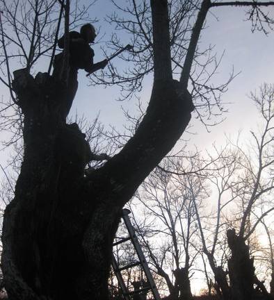 El oficio de los ‘talaores’ se resiste a desaparecer en la Sierra
