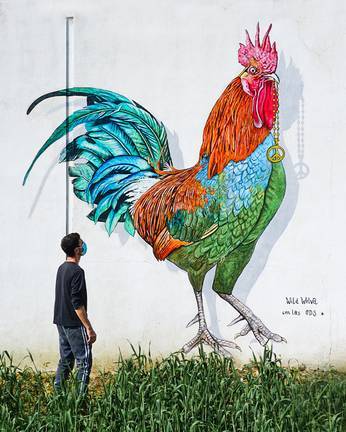 Un gallo de 4 metros defiende la paz y el valor de la vida rural en Bonares