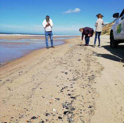 El vertido afecta ya a 3 kilómetros de costa convertido en cientos de miles de galletas de fuel del tamaño de 10 céntimos 1 El vertido afecta ya a 3 kilómetros de costa convertido en cientos de miles de galletas de fuel del tamaño de 10 céntimos