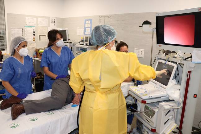 Sanitarios del Juan Ramón hacen el primer drenaje de una lesión pancreática por ecoendoscopia