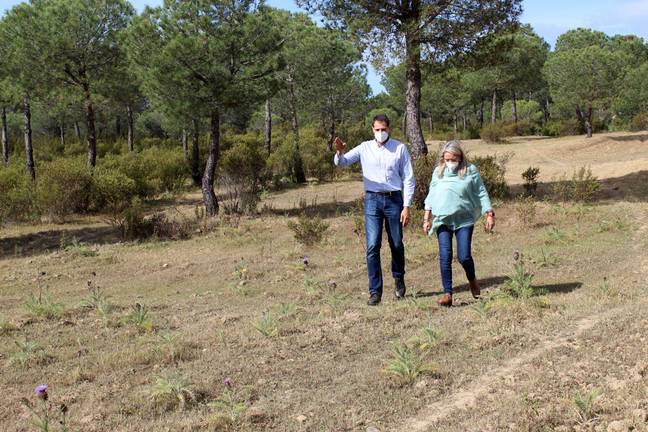 El Ayuntamiento de Cartaya exige la realización de cortafuegos contra incendios forestales