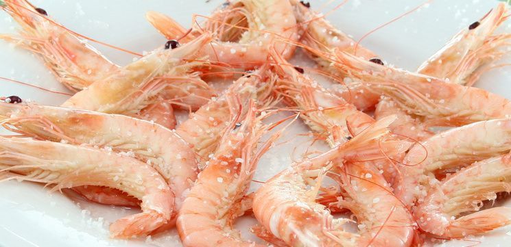 Huelva se va “de tapas” del 9 al 18 de abril