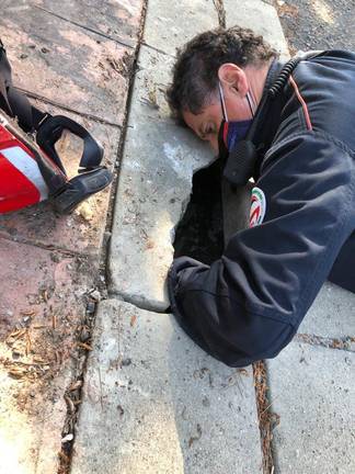 Los bomberos acuden al rescate de cuatro gatos atrapados en el subsuelo