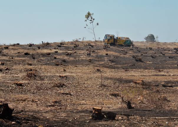 El incendio en una finca rústica en Bollullos pudo ser provocado 1 El incendio en una finca rústica en Bollullos pudo ser provocado