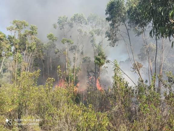 El Infoca combate un peligroso incendio en Calañas por tierra y medios aéreos