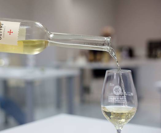 Brindis virtual para conmemorar el día Movimiento Vino