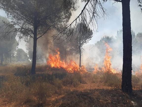 El Infoca sofoca un incendio en Rociana del Condado