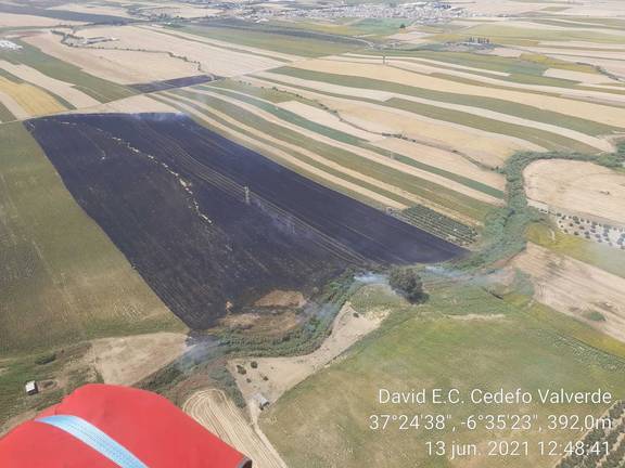 Sofocado un incendio agrícola en Villarrasa