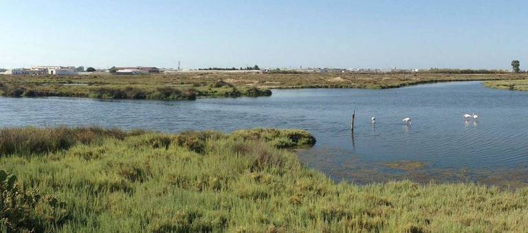 Los pescadores onubenses desaparecidos podrían estar detenidos en Marruecos
