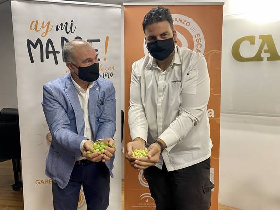La falta de lluvias podrá hacer caer la producción de garbanzos un 25%