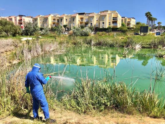 El Virus del Nilo reaparece: Ingresada una persona con meningoencefalitis