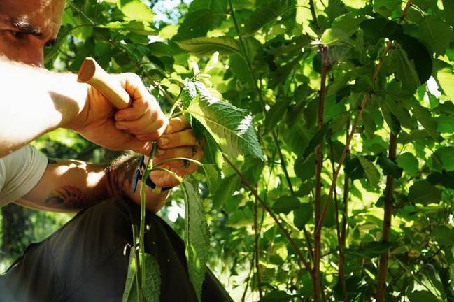 La Asociación Las Guindas retoma sus actividades en plena naturaleza