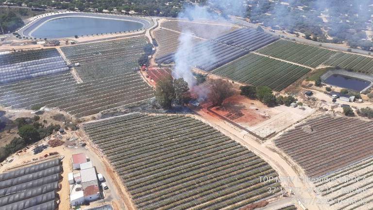 Extinguido el incendio forestal de Lucena