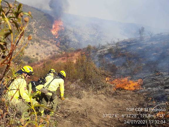 Investigan a dos personas por el incendio forestal de Villarrasa