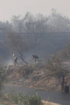200 hectáreas tiñen de negro al paisaje forestal de Lucena