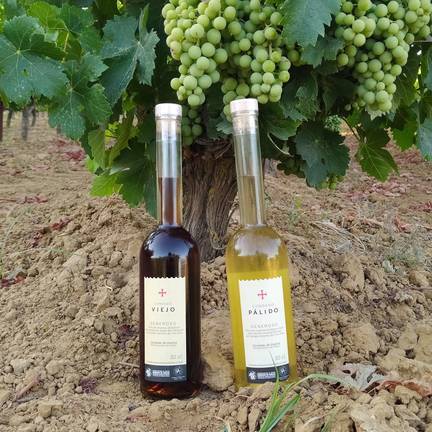 Diputación y la DOP Condado de Huelva se alían en la promoción de vinos y vinagres
