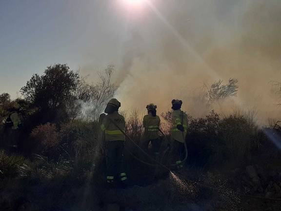 Extinguido el incendio forestal declarado en Escacena