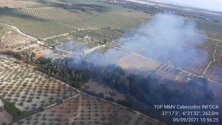 Tercer incendio en un mes en el paraje Algarve de Hinojos, en el entorno de Doñana