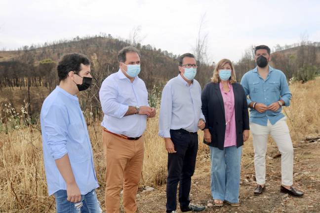 El PP reclama la declaración de zona catastrófica para el área del incendio de Almonaster