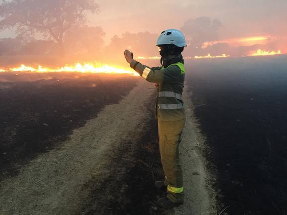 Tras el ADN del fuego