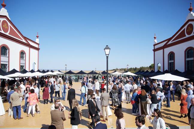 Viñafiel en Bodegas de Villalua