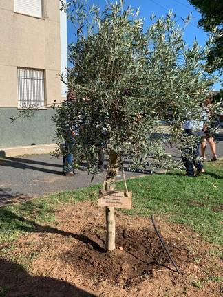 La comunidad educativa de Ayamonte rinde homenaje póstumo al maestro Enrique Vélez