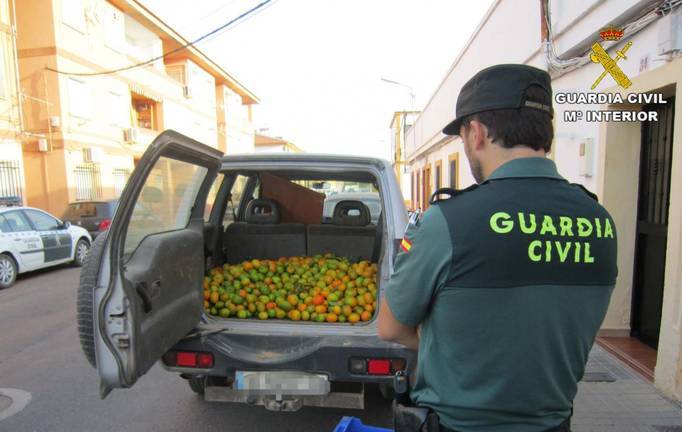 Cs denuncia la salida al mercado de fruta robada con alta toxicidad