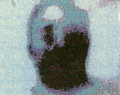 Supuesto extraterrestre