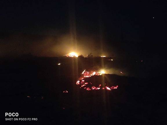El Infoca extingue de madrugada el incendio forestal de Trigueros