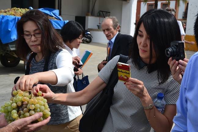 La exportación tiene cada vez más peso en las bodegas gracias a mercados como el asiático.