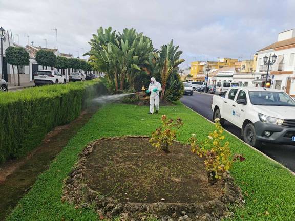 La época de actividad del virus de la Fiebre del Nilo se cierra con solo 3 brotes en Huelva