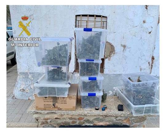 Vuelve el desasosiego a El Campillo con la detección de un ‘invernadero’ de marihuana