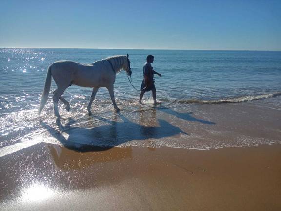 Un plano de la última película en la que trabajan los Hermanos Lagares.