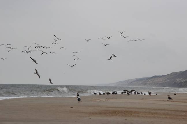 En la Costa de Huelva la lluvia tampoco ha causado grandes estragos