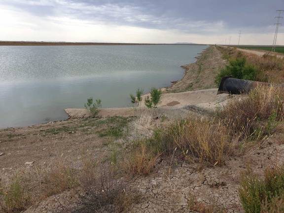 Los arrozales ponen en jaque los recursos hídricos de Doñana 3 Los arrozales ponen en jaque los recursos hídricos de Doñana