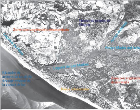 El Mapa del estudio de la Junta muestra el avance de la agricultura a lo largo de los años