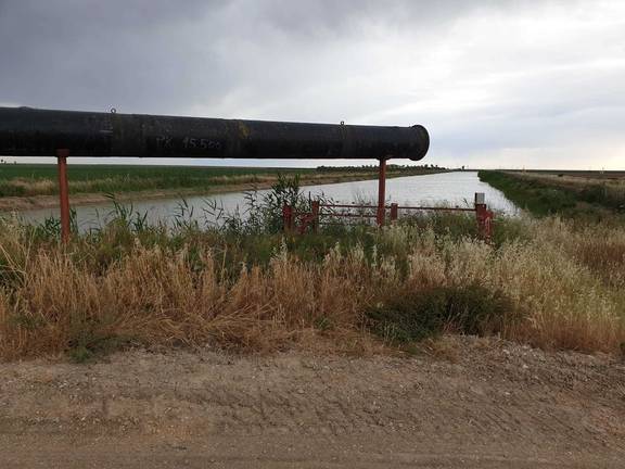 Los arrozales ponen en jaque los recursos hídricos de Doñana 1 Los arrozales ponen en jaque los recursos hídricos de Doñana