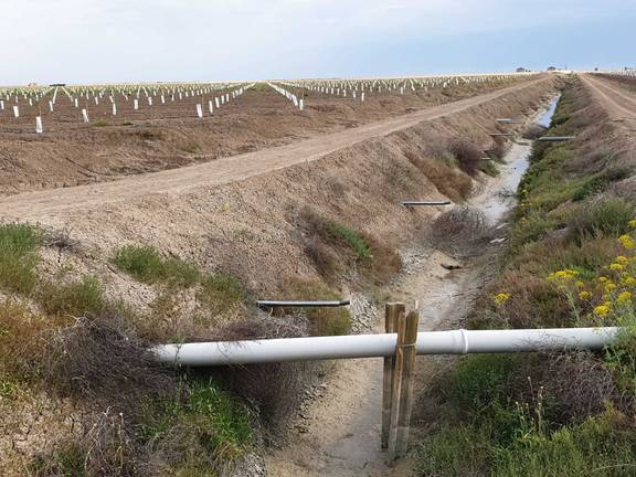 Los arrozales ponen en jaque los recursos hídricos de Doñana 4 Los arrozales ponen en jaque los recursos hídricos de Doñana