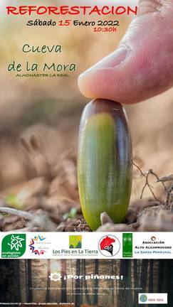 Jornada de reforestación en Cueva de la Mora