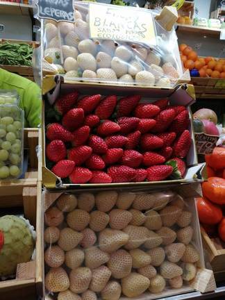 Lepe se suma a la fiebre por las fresas blancas