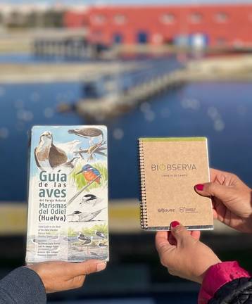 Aguas de Huelva instala cajas nido en sus plantas de tratamiento