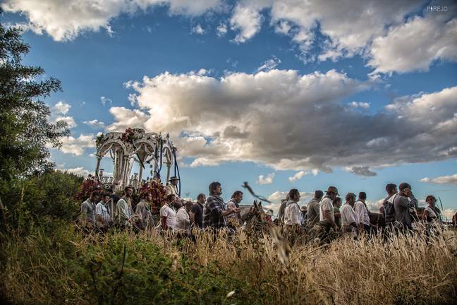 Los Romeros caminan al amparo de parajes únicos como Doñana que brindan imágenes como estás