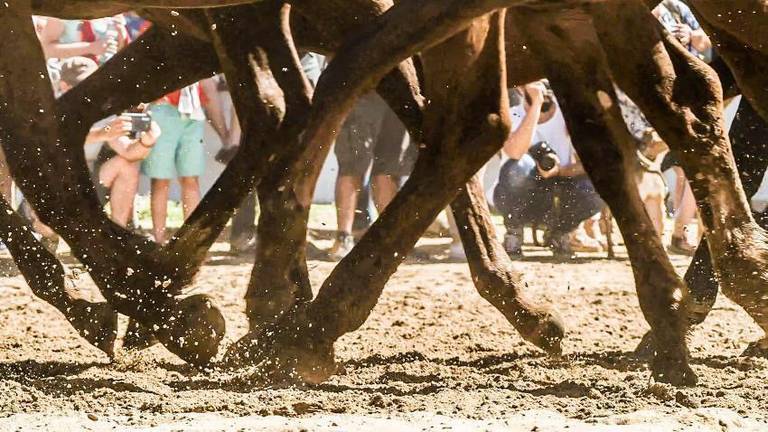 Fotografía de Sara Pérez