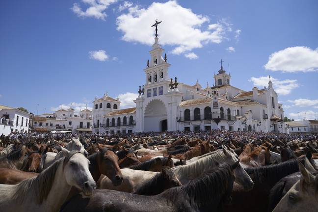 Los animales frente al Santuario marismeño