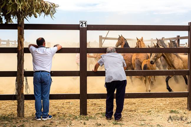 Los visitantes disfrutan de la entrada en el recinto ganadero