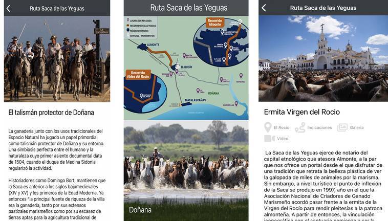 Imágenes de la aplicación móvil